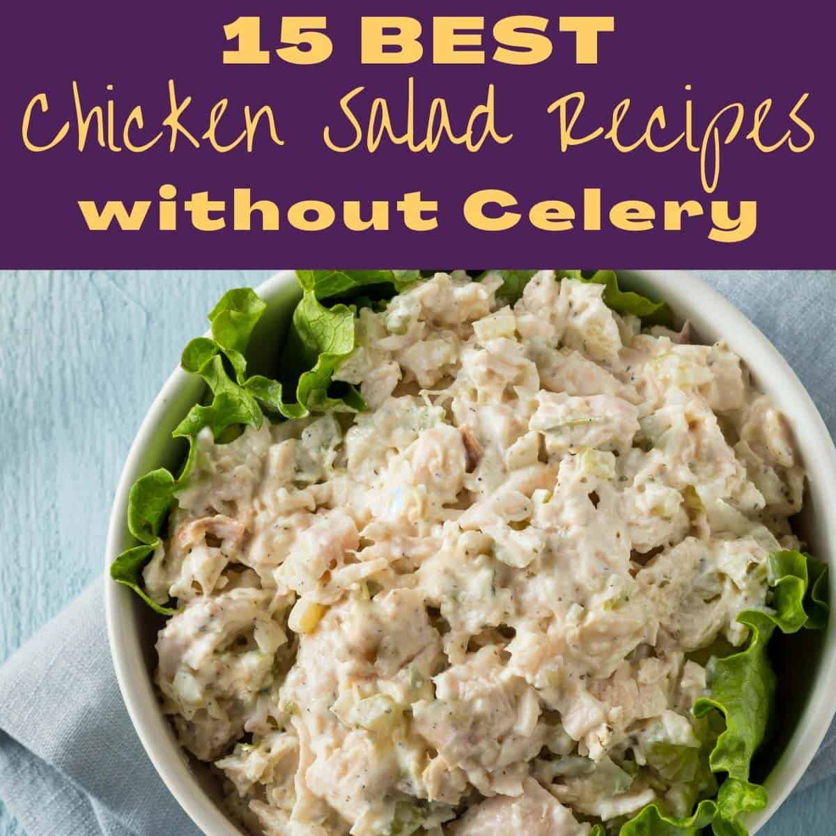 Chicken Salad Without Celery: Customizing Your Salad