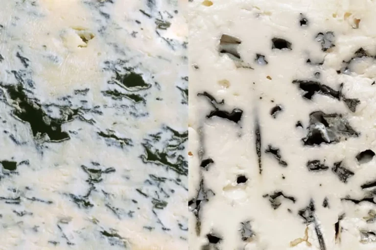 Gorgonzola Cheese vs Blue Cheese: Comparing Pungent Cheeses