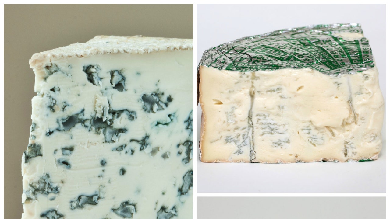 Gorgonzola Cheese vs Blue Cheese: Comparing Pungent Cheeses