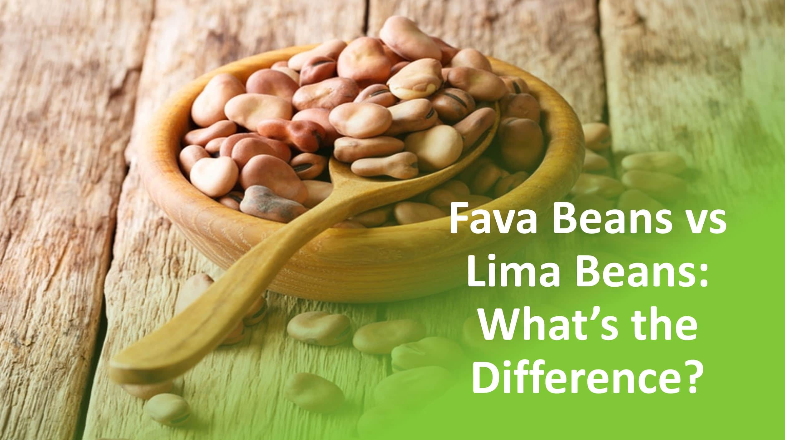 Lima Beans vs Fava Beans: Exploring Legume Differences