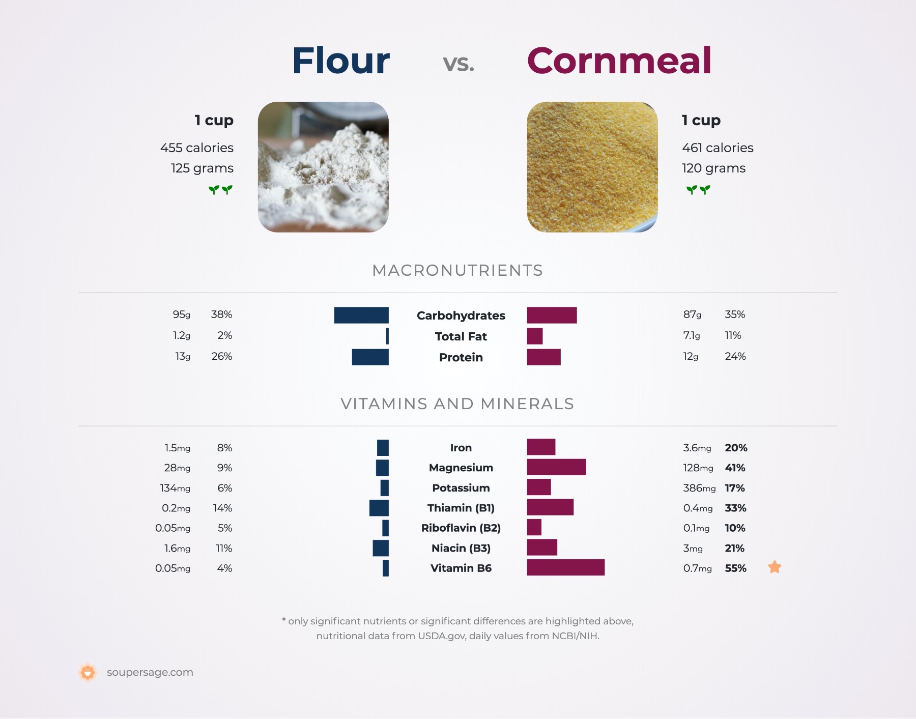 Semolina vs Cornmeal: Comparing Different Flours