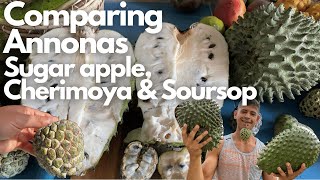 Soursop vs Custard Apple: Exploring Tropical Fruits