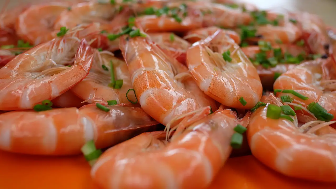 How to Tell if Shrimp Is Bad: Identifying Signs of Spoilage