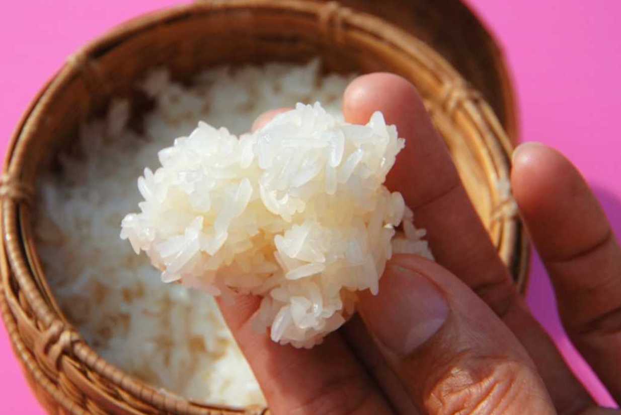 Glutinous Rice vs Sushi Rice: Understanding Rice Types