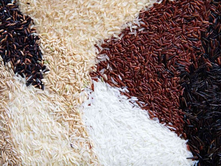 White Rice vs Wild Rice: Comparing Grain Varieties